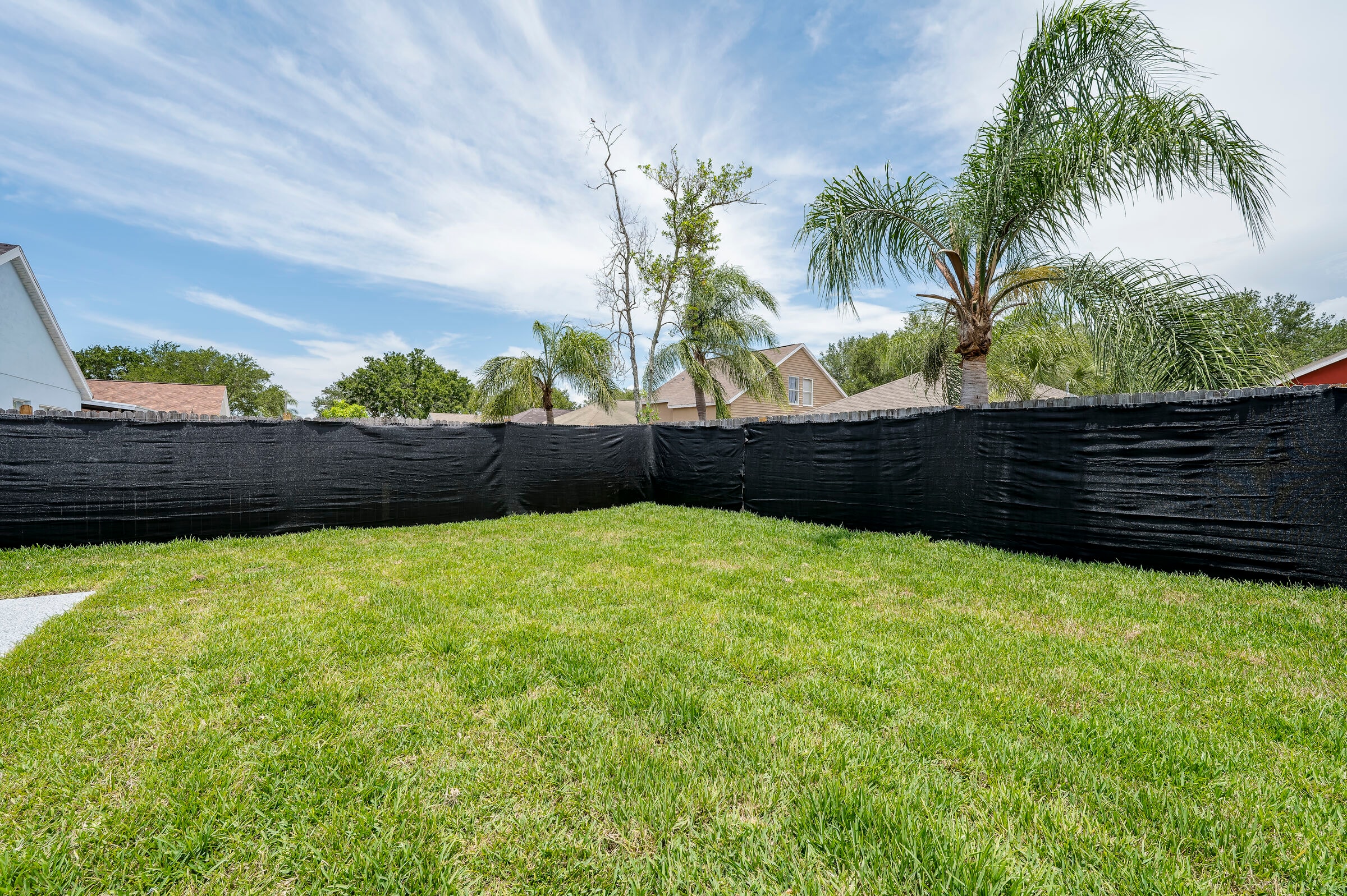 Backyard at 7522 Oxford Garden Circle in Apollo Beach Florida — green lawn enclosed by black privacy fence with multiple palm trees and blue sky